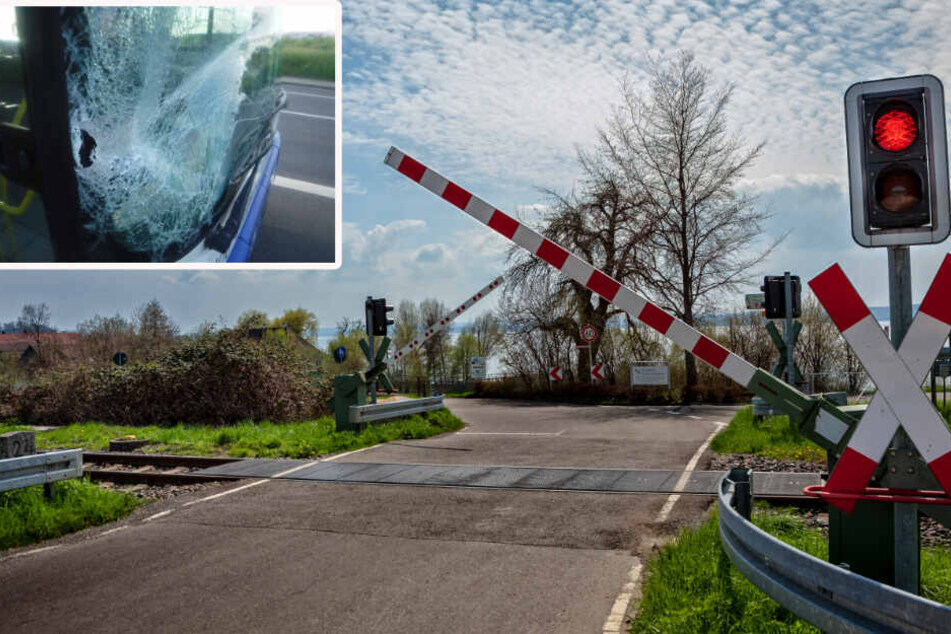 Die Frontscheibe des Busses wurde bei dem Unfall schwer beschädigt (Originalfoto). Der Busfahrer gab an, er habe die Warnlichter am Bahn-Übergang nicht genau gesehen (Symbolbild).