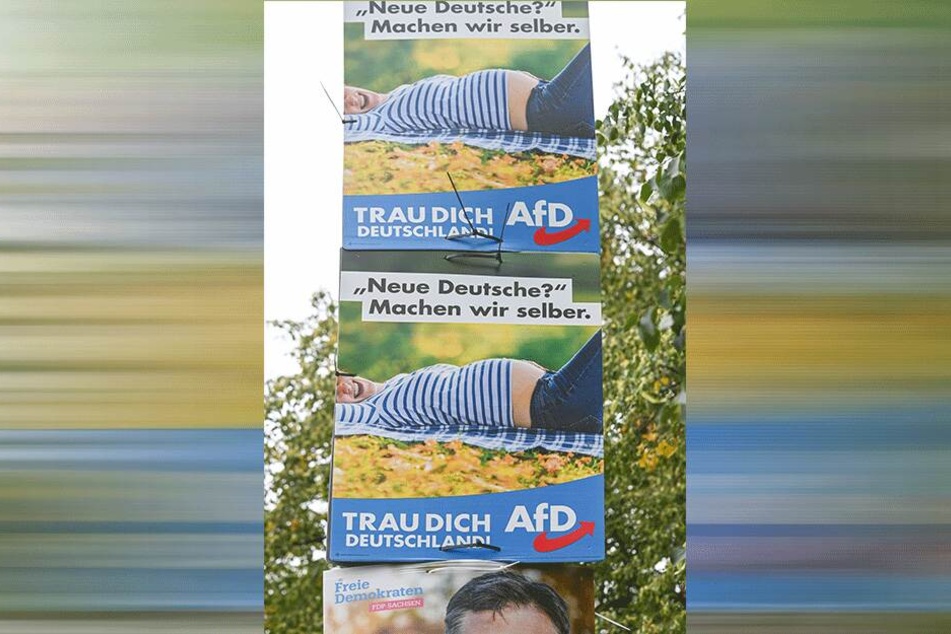 Die AfD-Plakate stammen noch aus dem Bundestagswahlkampf 2017.