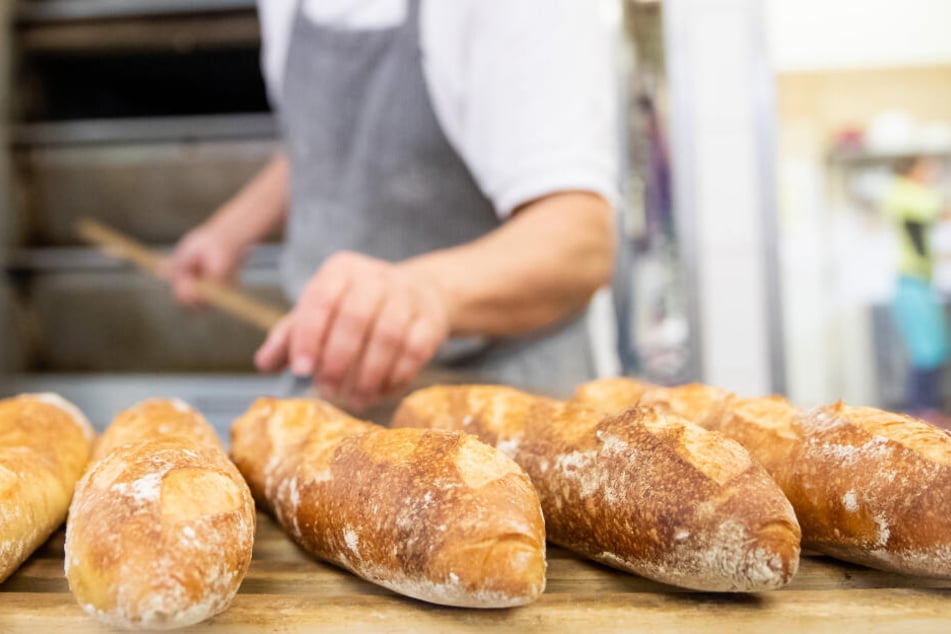 Ein Bäcker- und Konditormeister legt in der Backstube eines Betriebs Baguettes aus dem Ofen auf ein Brett. Die Zahl der Bäckereien ist in den vergangenen Jahren stark zurückgegangen.