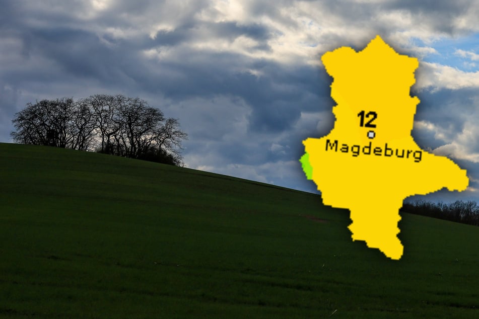 Nach den ersten Sommertagen des Jahres wird es in Sachsen-Anhalt kühler und regenreicher. (Symbolbild)