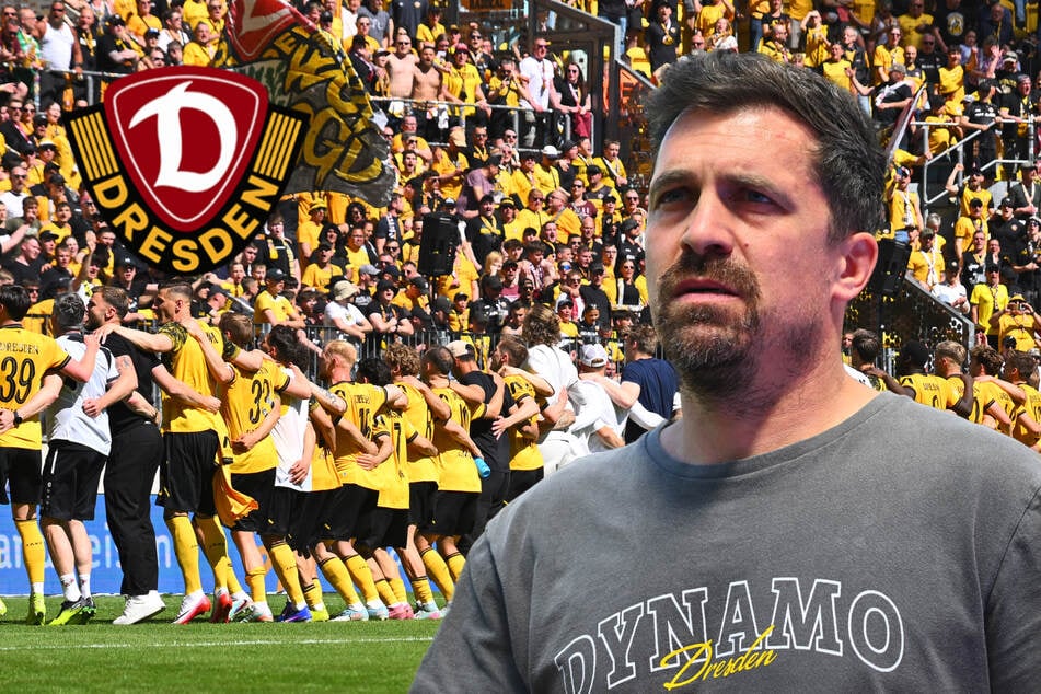 Diese Lerneffekte führten Dynamo zum Heim-Dreier im Druck-Duell