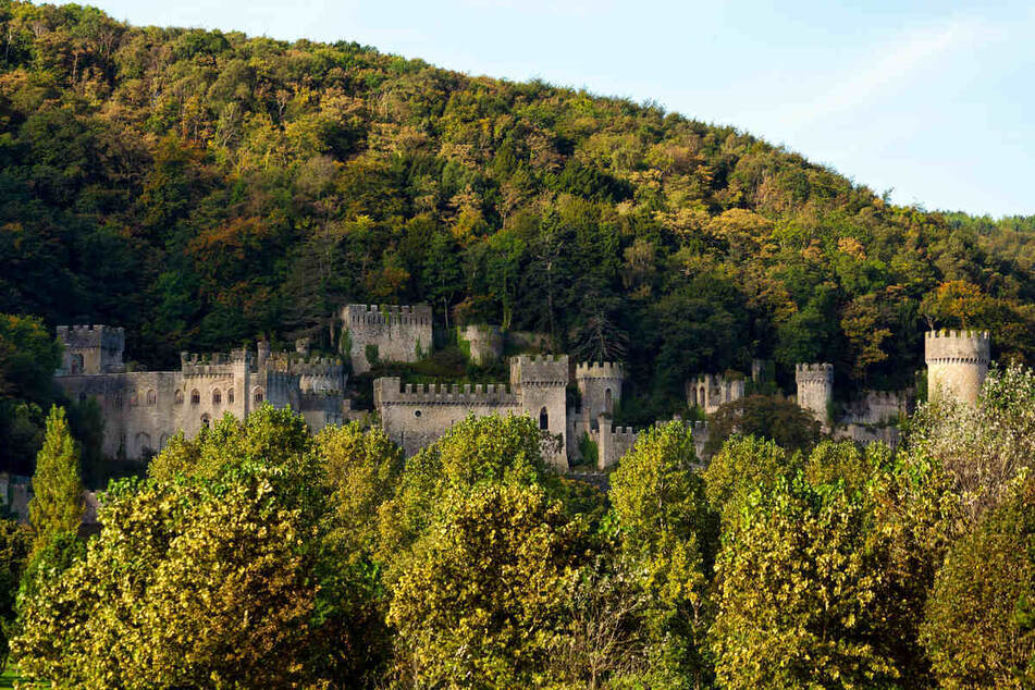 Das britische Dschungelcamp "I'm a Celebrity...Get Me Out of Here!" wird auch im November 2021 auf Gwrych Castle gedreht - das zweite Jahr in Folge.