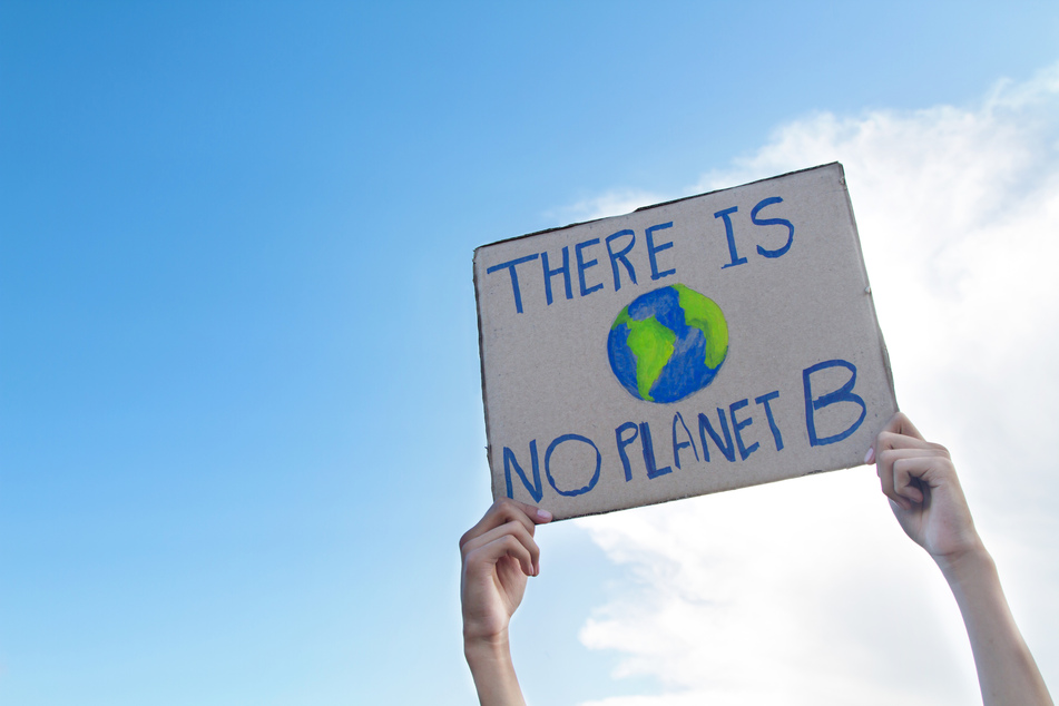 A protester holds a sign demanding greater action to address the climate emergency (stock image).