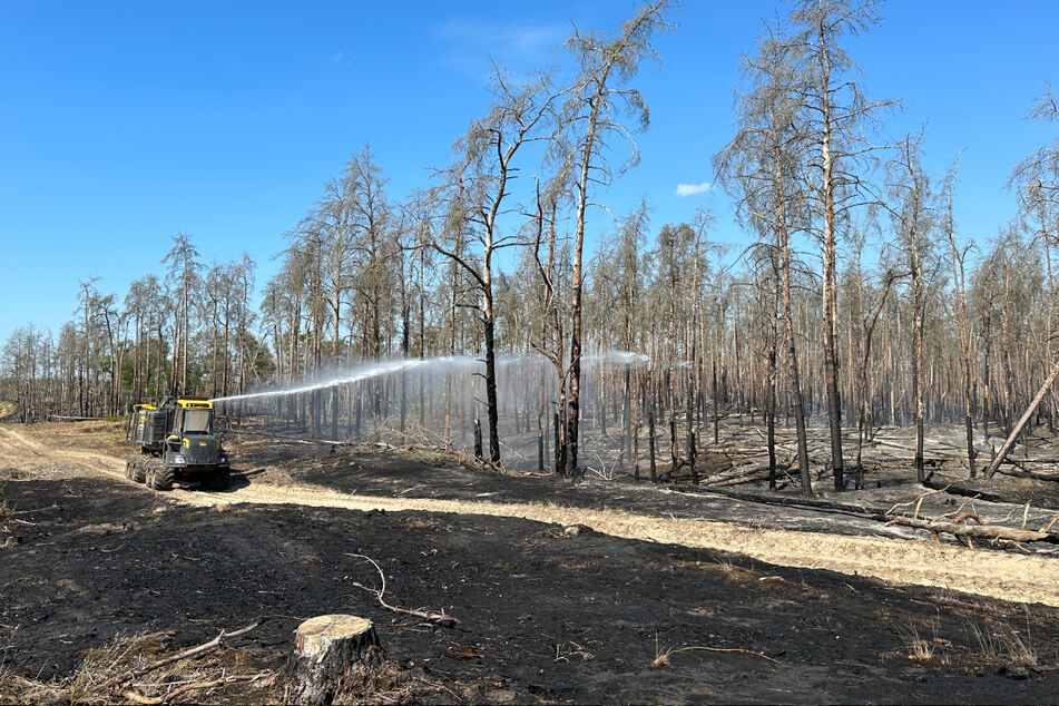 Waldbrände in Meck-Pomm: Katastrophenalarm aufgehoben