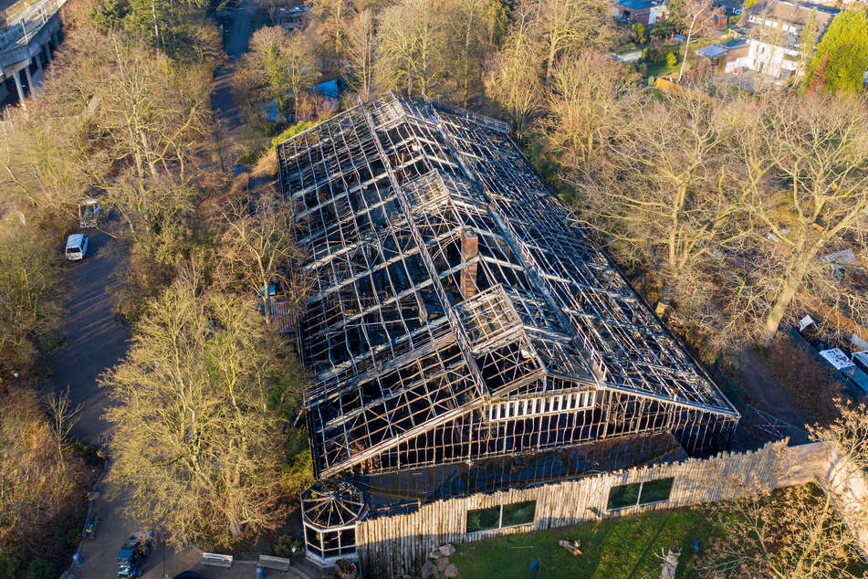 Das abgebrannte Affenhaus. (Archivbild)