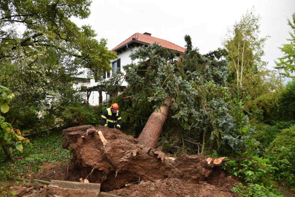 In Baden-Württemberg zersägt ein Feuerwehrmann einen umgestürzten Baum.