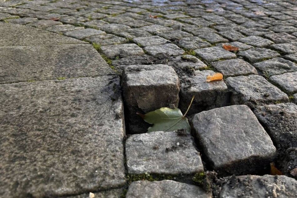 Nach bestürzender Tat: Herausgerissene Stolpersteine werden neu verlegt