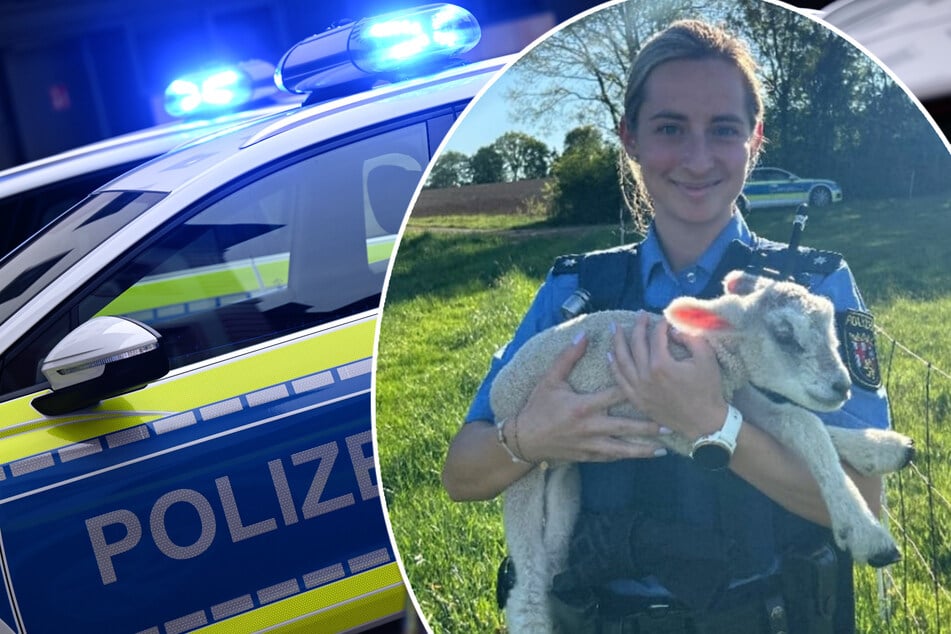 Eine Polizistin hat das Lamm auf dem Arm. Zum Glück kam die Hilfe für das Neugeborene gerade noch rechtzeitig.