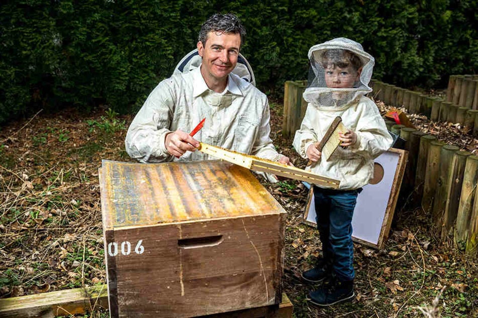 Imker und Bienenzüchter Rico Heinzig (41) schaut mit seinem Sohn Eric (4) 
nach, wie die Bienen in seinem Hotelhof den Winter überstanden haben.