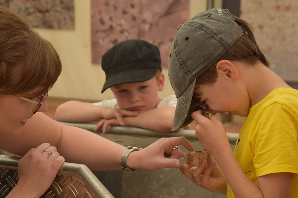 Kleine Fossilienjäger, Grabungshelfer oder Präparatoren werden: Das können Kids bei der Außenstelle des Naturkundemuseums.