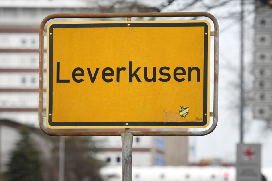 Die Stadt Leverkusen räumt eine Rattenproblematik am Busbahnhof Wiesdorf ein (Symbolbild).