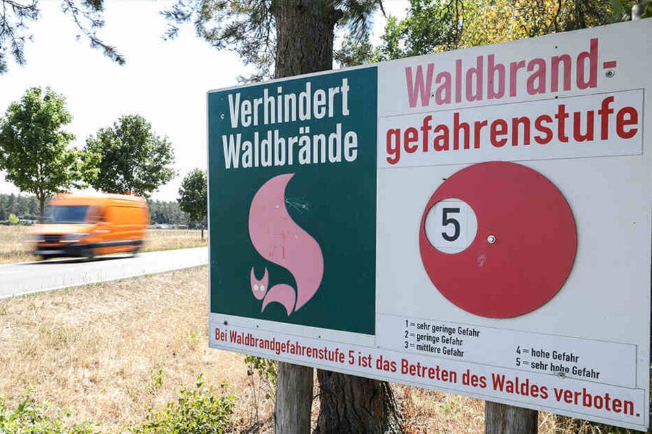 "Sehr hohe Gefahr": Schon jetzt wurde in vielen Regionen Sachsens Waldbrandstufe 5 ausgerufen.