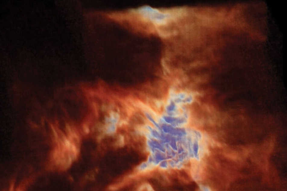 Der "Orion-Drache", wie er von den Wissenschaftlern schon genannt wird, ist in Wirklichkeit positiv geladenes Karbongas.