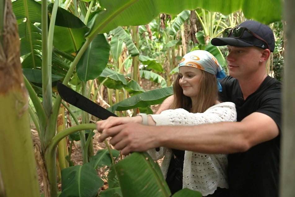 Björn (30) und Sarah (27) schneiden mit einer westafrikanischen Machete (Panga) alte Blätter von den Bananenstauden.