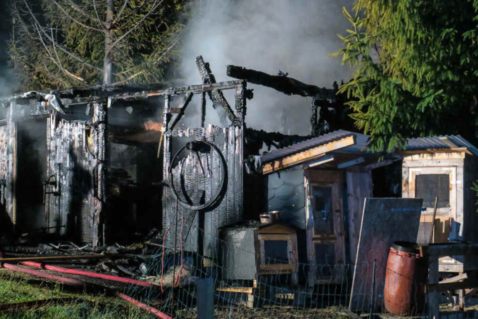 Der Schuppen brannte komplett ab.