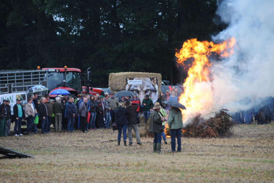 Der Scheiterhaufen brennt: Mit einem Mahnfeuer wollen Bauern auf ihre Situation aufmerksam machen.