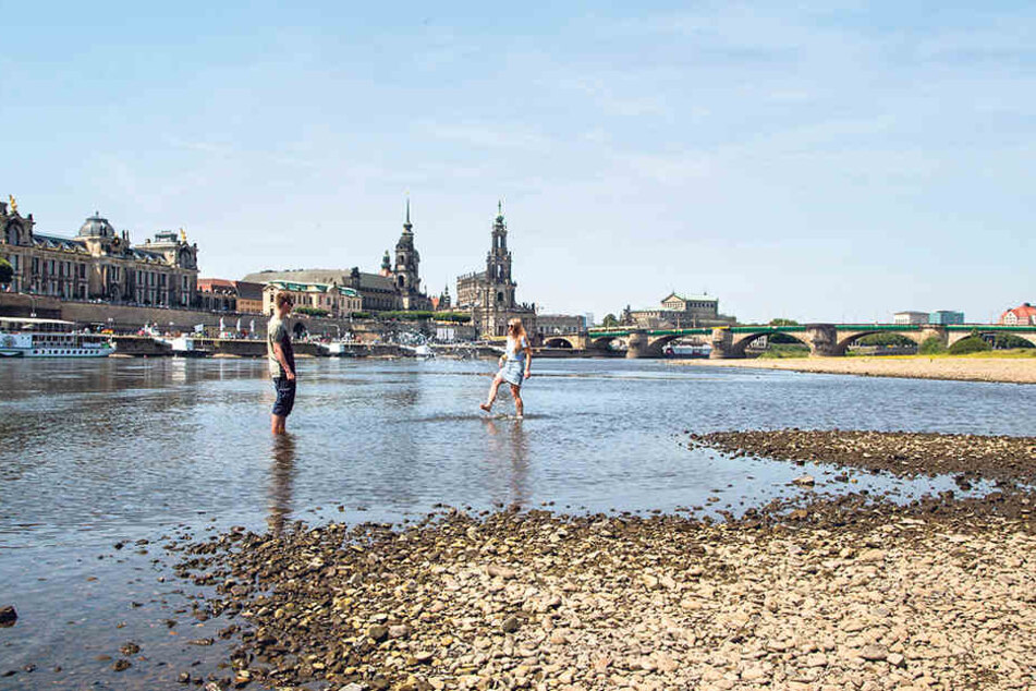 Zum Glück: Ab Dienstag Nachmittag dürfte die Woge in Dresden ankommen.