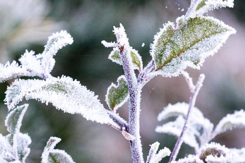 Auch am Freitag und Samstag soll es in Hessen winterlich kalt und zum Teil auch frostig werden. (Symbolbild)