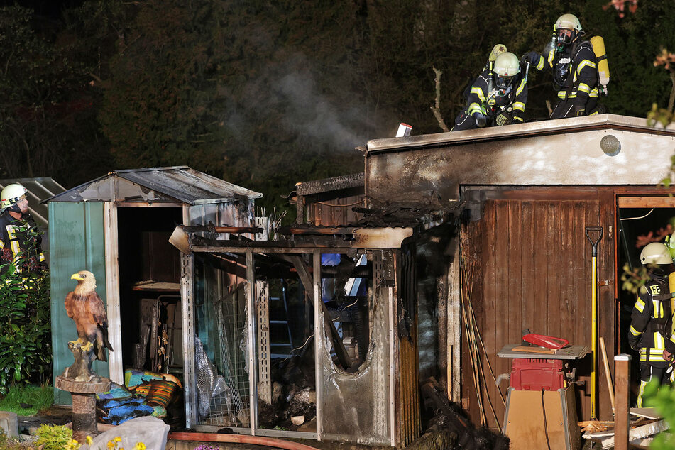 Die Feuerwehr musste in der Nacht zu Donnerstag mehrere brennende Gebäude auf einem Grundstück in Langenchursdorf löschen.