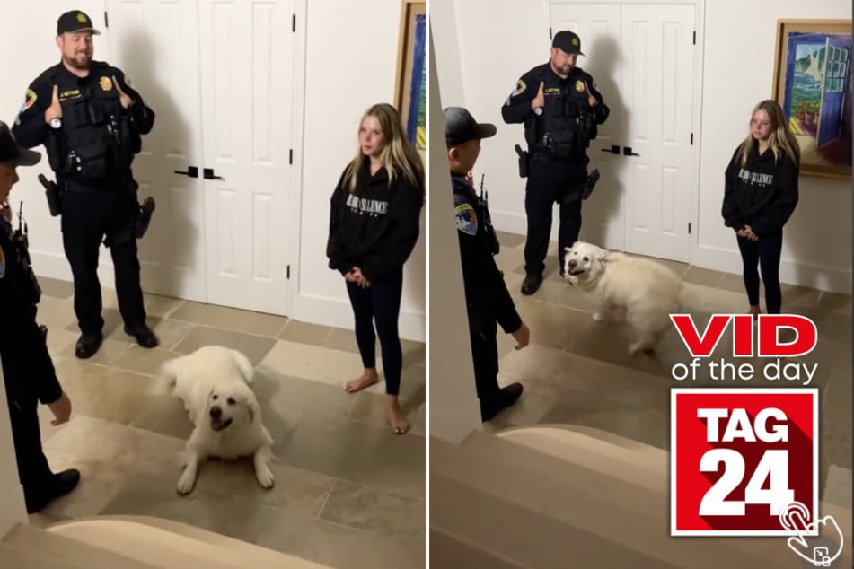 Today's Viral Video of the Day features a dog who ran down the stairs as soon as she heard police start talking to her owner.