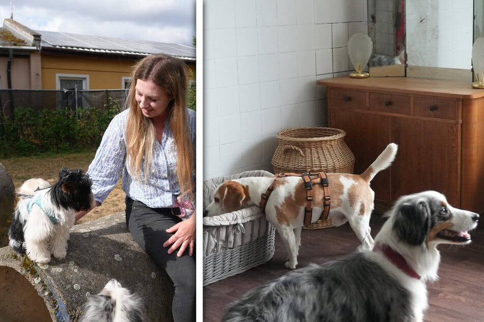 Nadja Wolff (31) möchte den Hunden in ihrer Pension ein zweites Zuhause bieten.