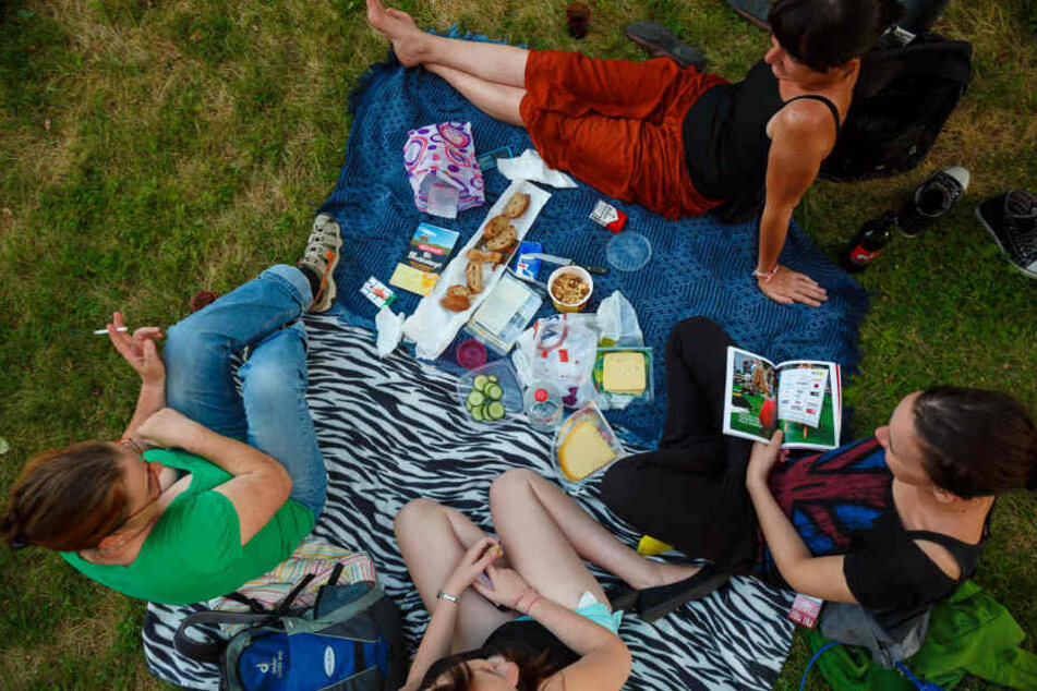 Entspannt in den Sonntag starten - geht auch mit der ganzen Familie zum Palais Picknick.