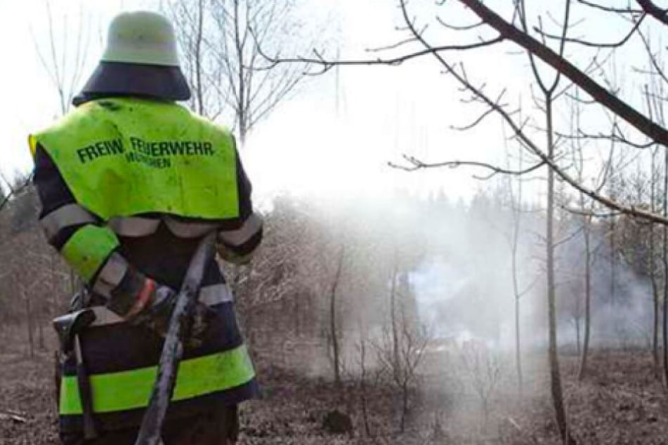 In einem Waldstück in Perlach hat es gebrannt, die Feuerwehr München musste auf 1000 Quadratmetern löschen. (Symbolbild)