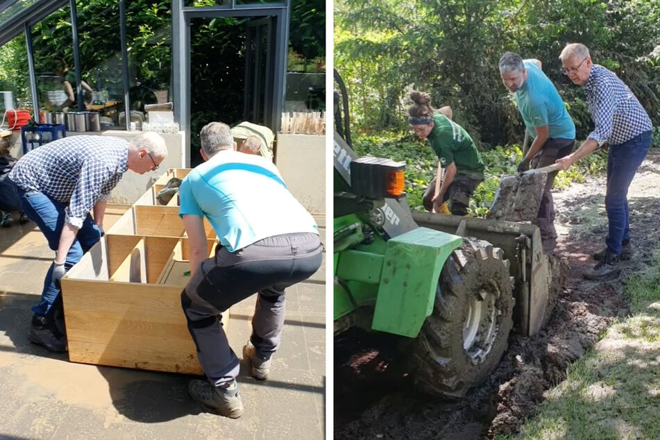 Günther Jauch: Unwetter-Drama um Günther Jauchs Weingut in der Pfalz: Moderator packt selbst mit an!