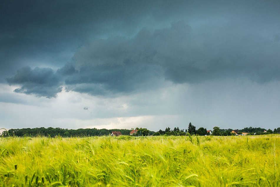 Regengüsse und Hagel prasselten auf die Felder nieder.