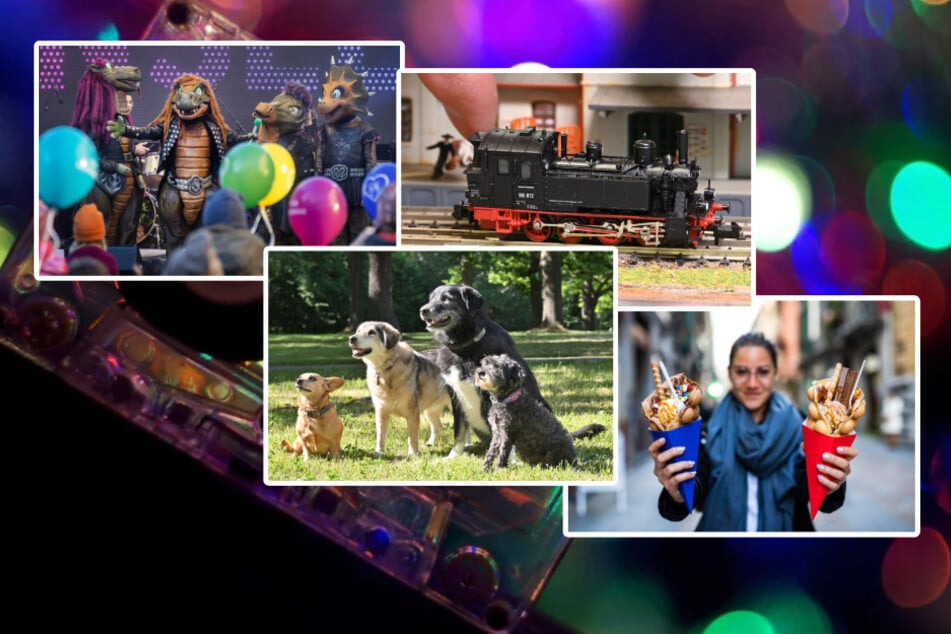 Dinos, Hunde und Leckereien: Das könnt Ihr heute in Chemnitz und Umgebung erleben