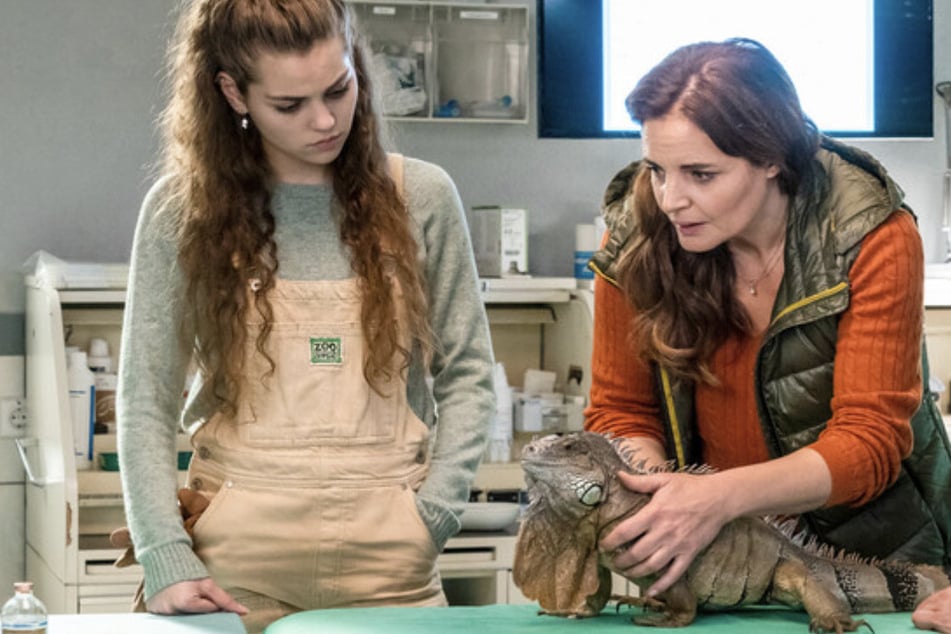 Fans kriegen nicht genug: Steht neue Staffel von "Tierärztin Dr. Mertens" in den Startlöchern?