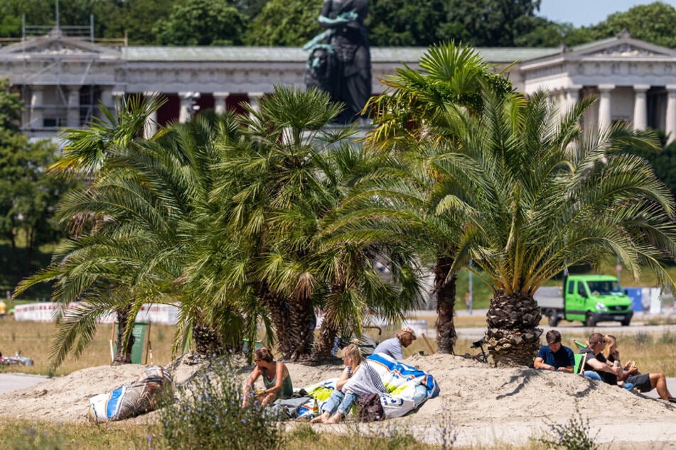 Eine Mini-Oase aus ganz viel Sand mit 13 Palmen wurden auf einem Teil der Theresienwiese aufgebaut.