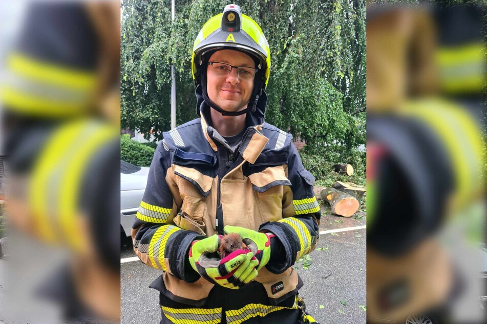 Ein Feuerwehrmann hält das gerettete Eichhörnchen-Baby in seinen Händen.