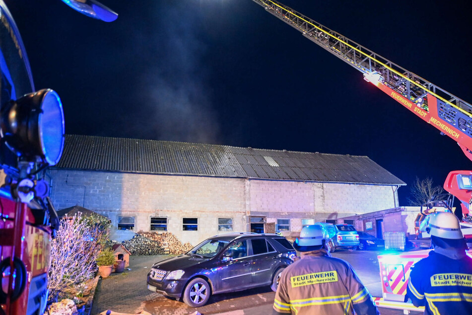 Feuer auf Bauernhof: Viehstall steht lichterloh in Flammen, mehrere Menschen verletzt