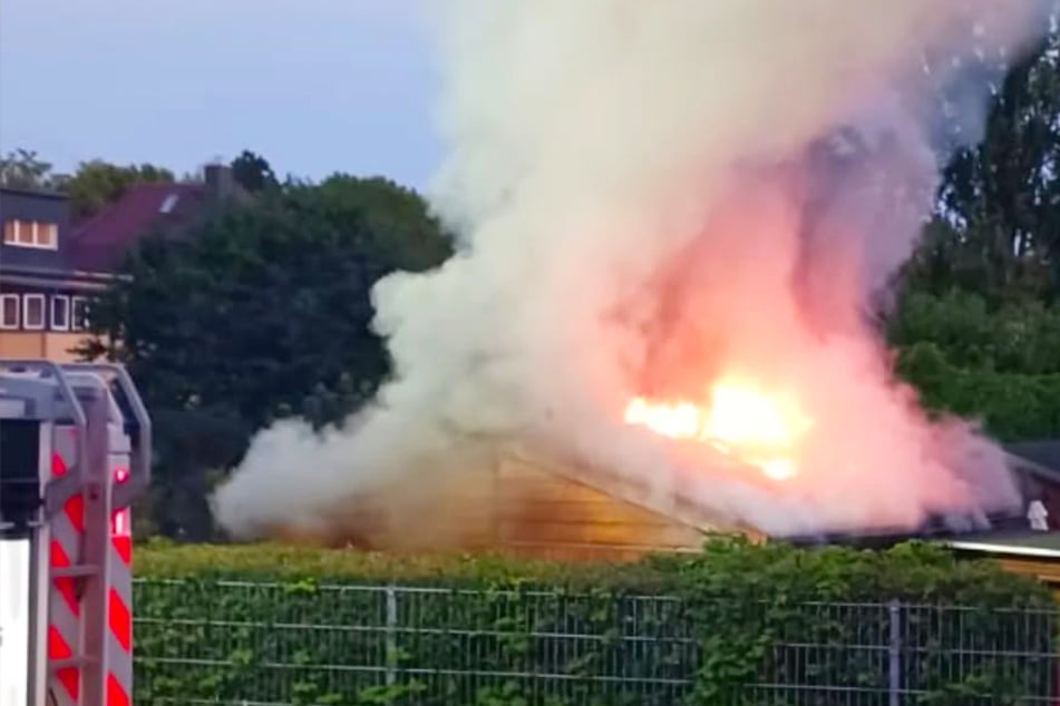 Räuber stehlen Werkzeug und stecken dann die ganze Gartenlaube in Brand