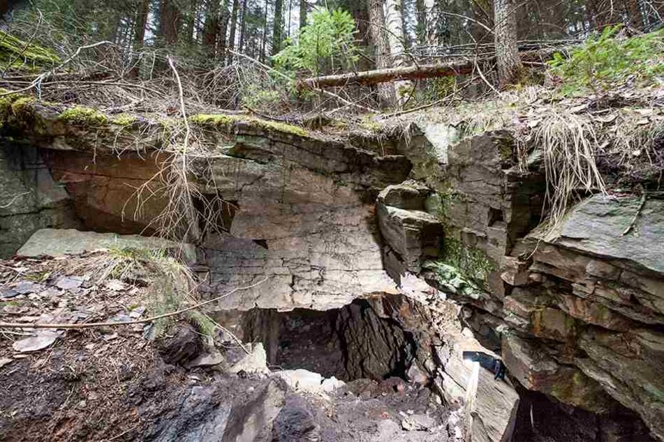 An dieser Stelle könnten die Bergbau-Touristen in den Stollen eingestiegen sein.