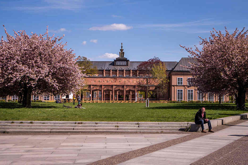 Auf zum "Internationalen Museumstag" im Grassimuseum!