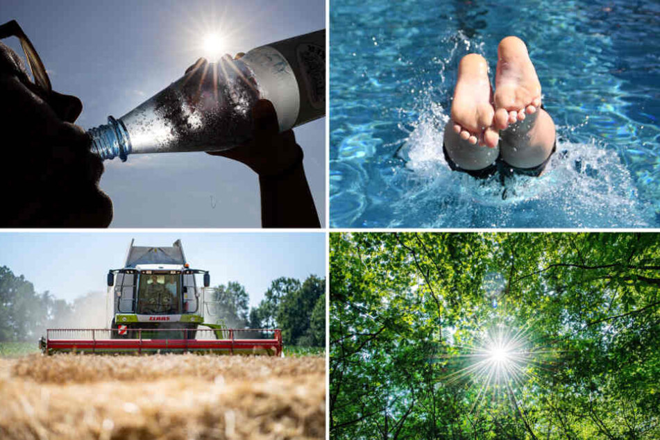 Der Absatz von Mineralwasser und anderen Erfrischungsgetränken ist kräftig gestiegen.