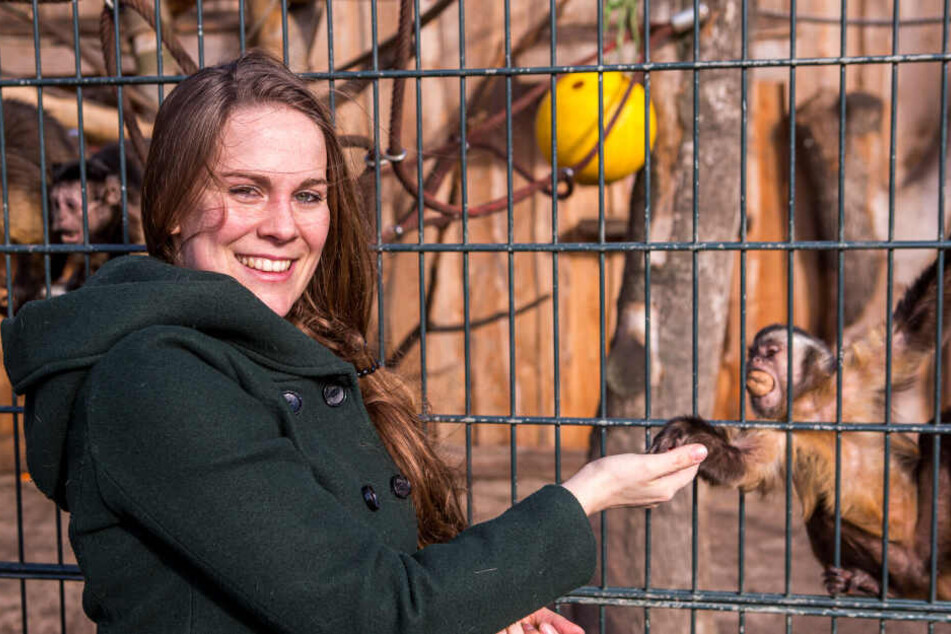 Ihr frisst nicht nur der Kapuzineraffe gern aus der Hand: Elisabeth Wiegand (30) ist jetzt Chefin des Delitzscher Tiergartens.