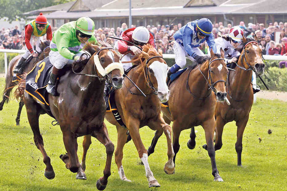 Der mongolische Jockey
Bayarsaikhan Ganbat (l.)
im Sattel von Be My Star
auf dem Weg zum Sieg
beim Großen Preis der
Dresdner Morgenpost.