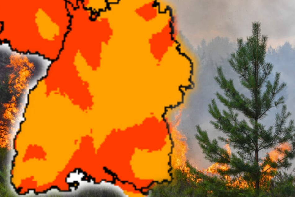 Die Hitze erhöht die Waldbrandgefahr. (Fotomontage)