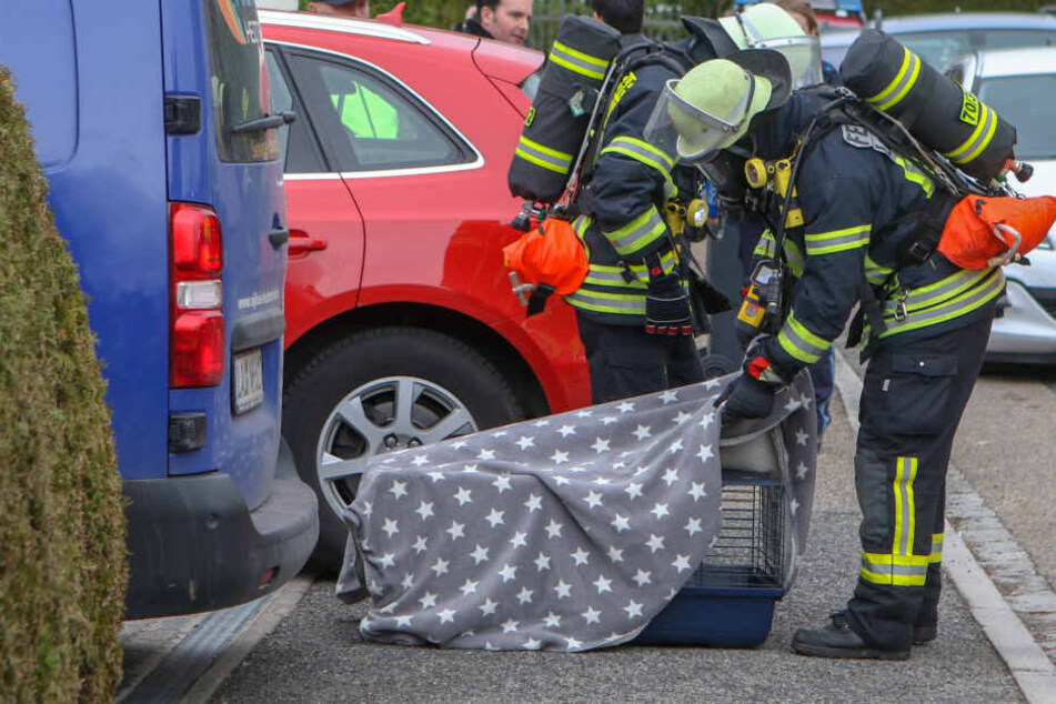 Der Käfig der Meerschweinchen wird von einem Feuerwehrmann mit einer Decke abgedeckt.