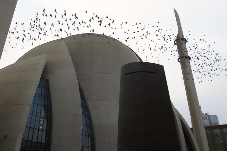 Ein Taubenschwarm an der Moschee in Köln-Ehrenfeld.