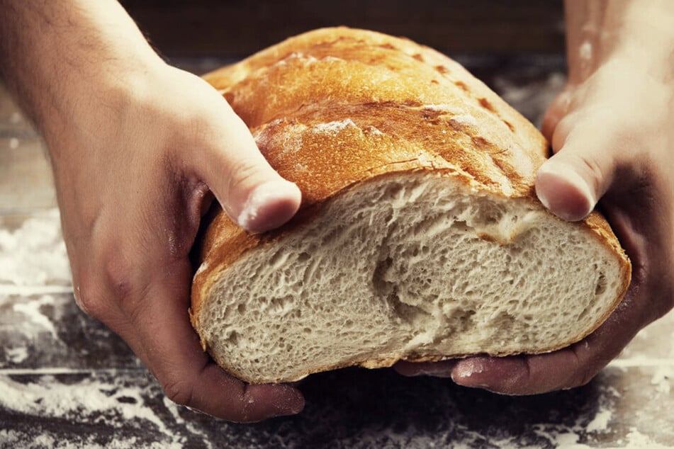 In einer Bäckerei stellten die Kontrolleure erneut massiven Mäusebefall fest. (Symbolfoto)