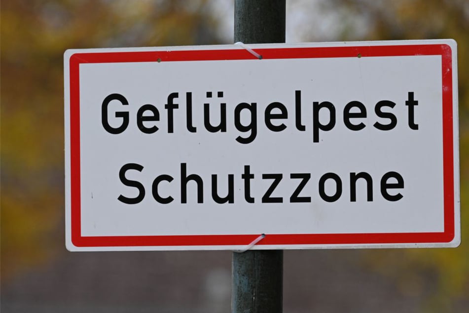 Auch in Baden-Württemberg wurde die Infektionskrankheit festgestellt. (Symbolfoto)