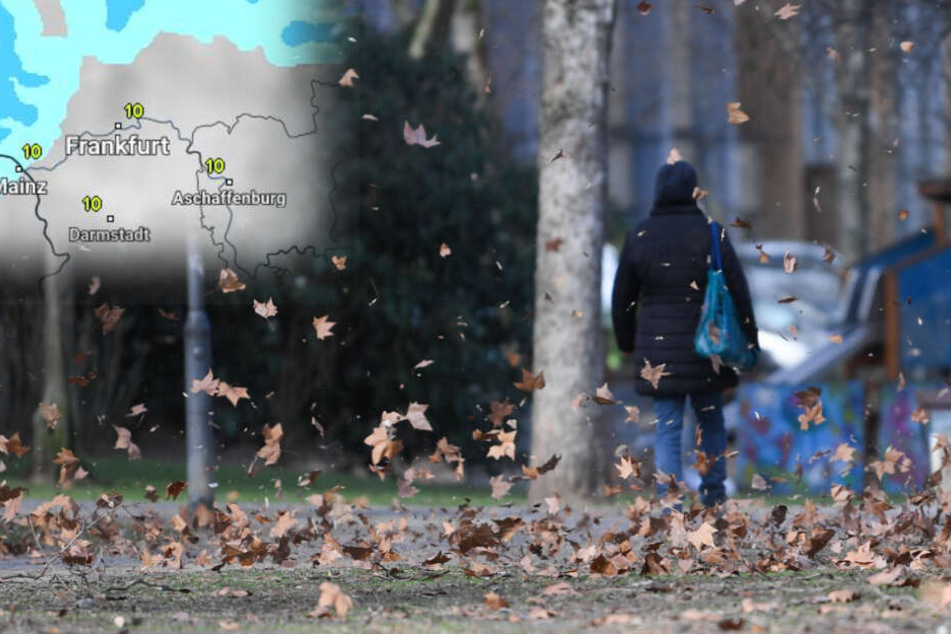 Mild Aber Sturmisch So Wird Das Hessen Wetter Am Wochenende Tag24