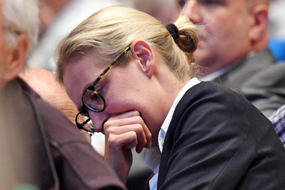 Auch der Spendenskandal rund um Alice Weidel ist Thema in der AfD.