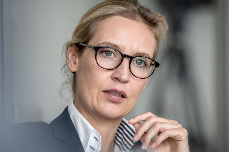 2017 zog die AfD mit Alice Weidel als Vorstandsmitglied in den Bundestag ein und wurde drittstärkste Kraft.