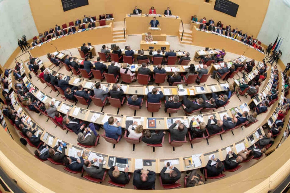 Die AfD ist schon mehrmals im Landtag aufgefallen, nun wurde ein Abgeordneter für seine Aussagen gerügt. (Archivbild)
