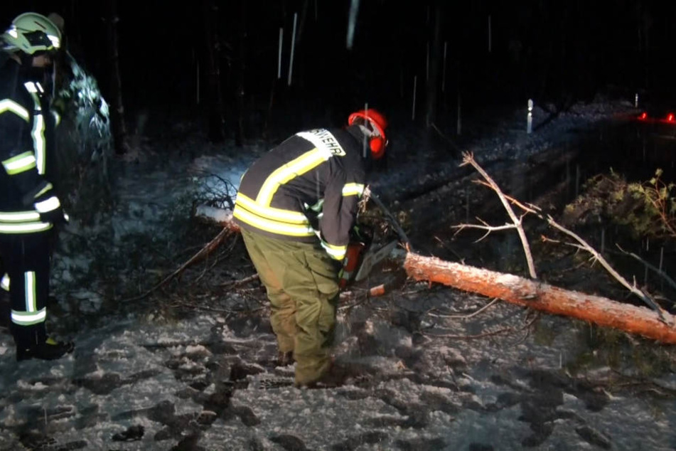Ein Feuerwehrmann zerlegt einen Baum, der auf die Straße gestürzt ist.